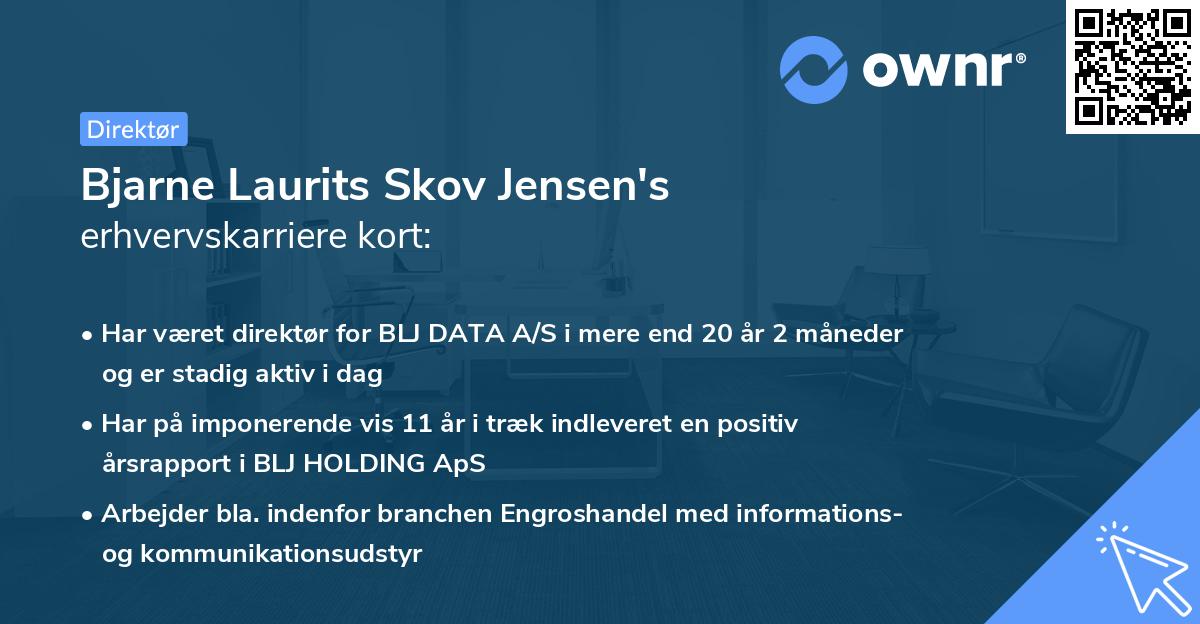 Bjarne Laurits Skov Jensen's erhvervskarriere kort