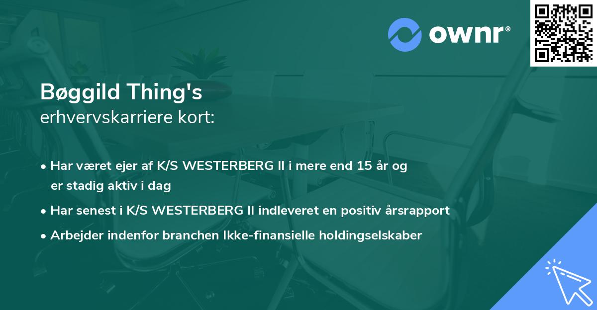 Bøggild Thing's erhvervskarriere kort