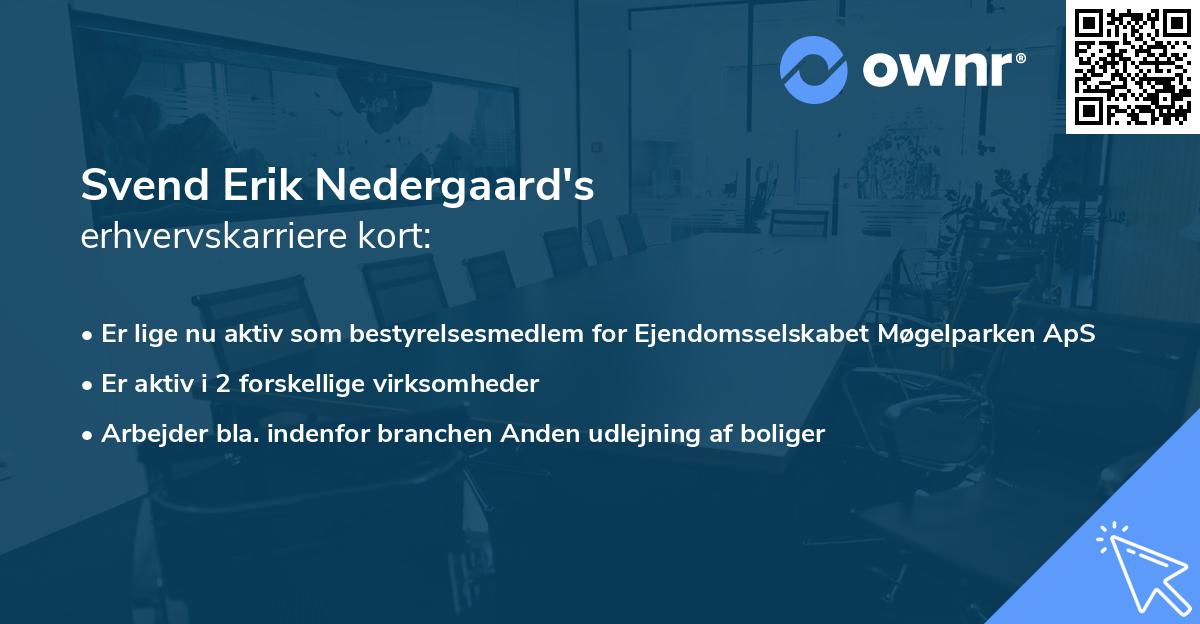 Svend Erik Nedergaard's erhvervskarriere kort