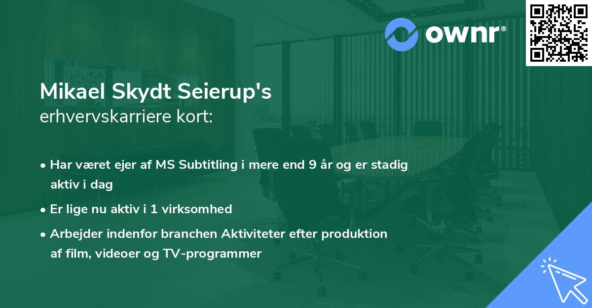 Mikael Skydt Seierup's erhvervskarriere kort