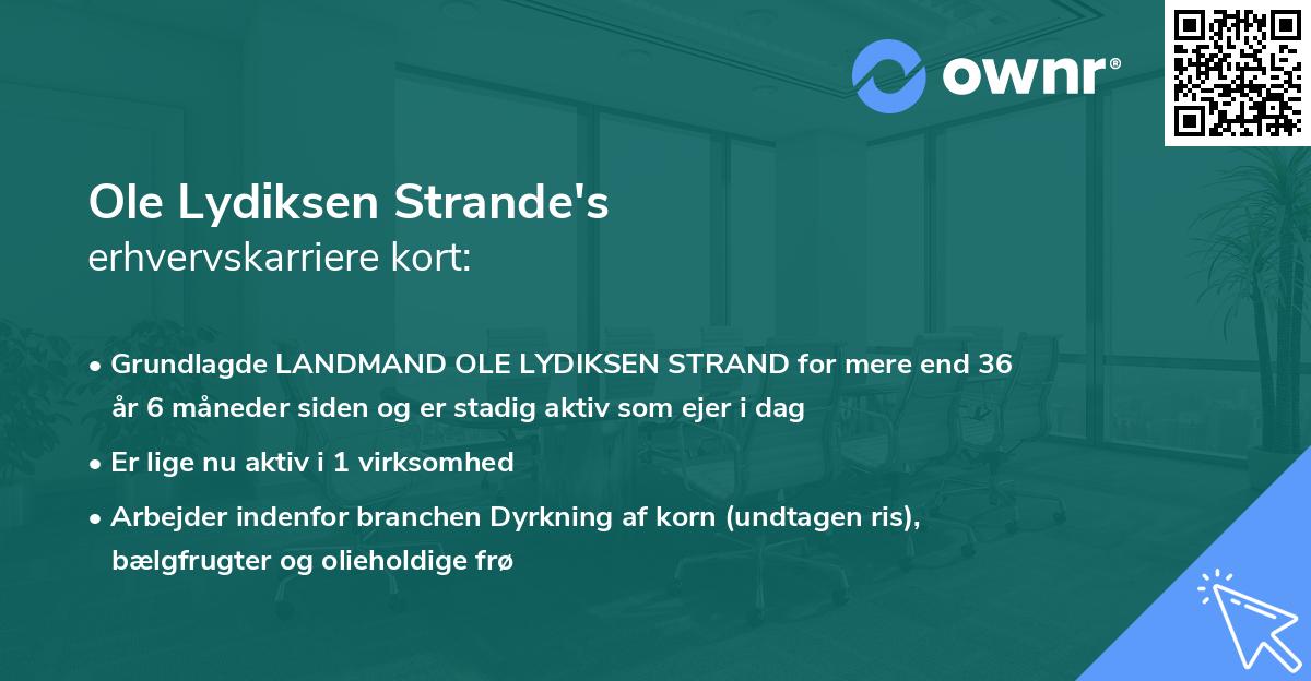 Ole Lydiksen Strande's erhvervskarriere kort