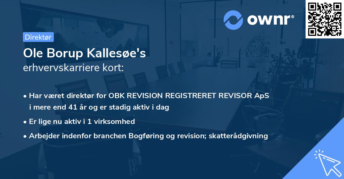 Ole Borup Kallesøe's erhvervskarriere kort