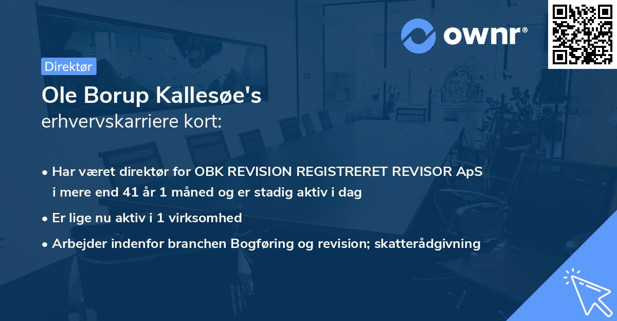 Ole Borup Kallesøe's erhvervskarriere kort