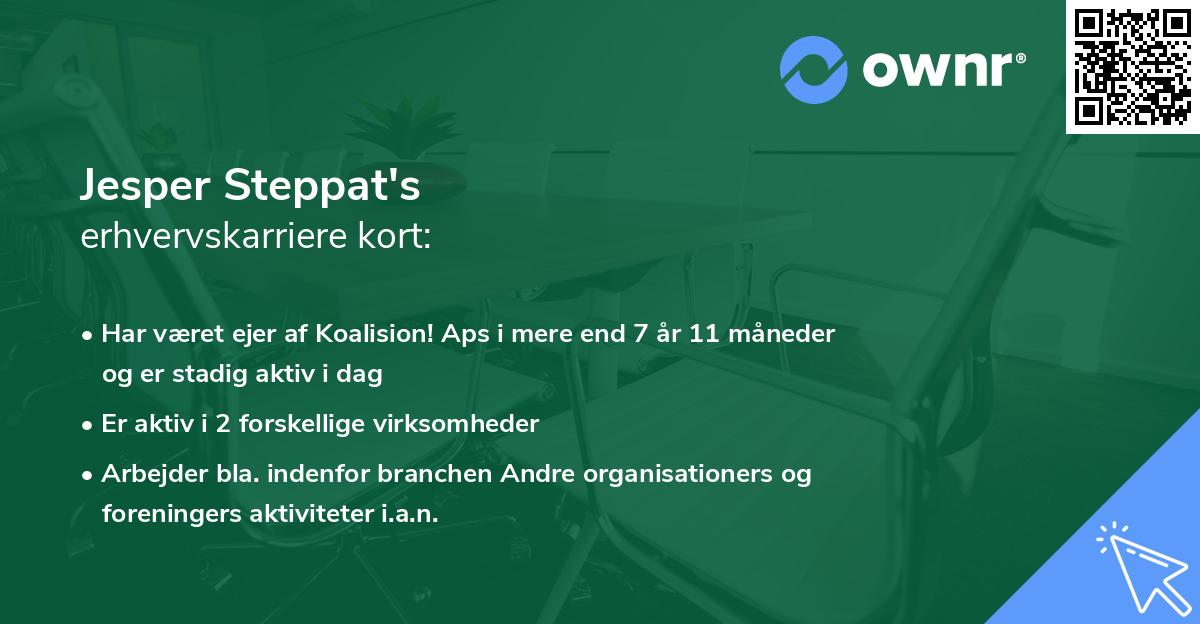 Jesper Steppat's erhvervskarriere kort