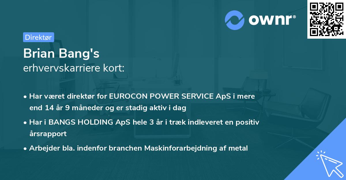 Brian Bang's erhvervskarriere kort