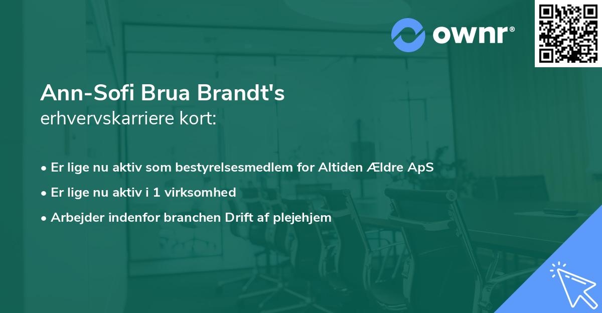 Ann-Sofi Brua Brandt's erhvervskarriere kort