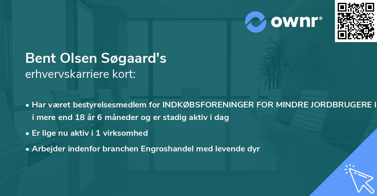 Bent Olsen Søgaard's erhvervskarriere kort