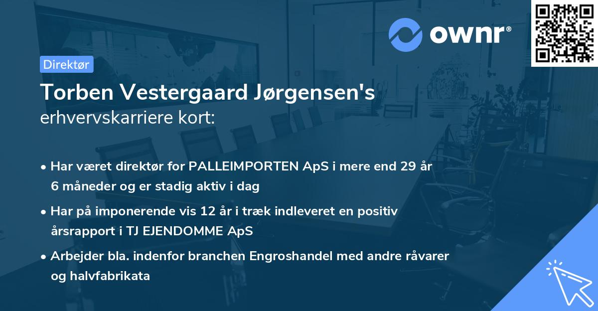 Torben Vestergaard Jørgensen's erhvervskarriere kort
