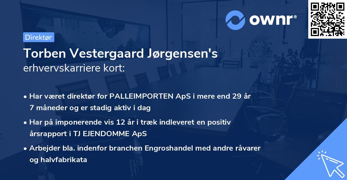 Torben Vestergaard Jørgensen's erhvervskarriere kort