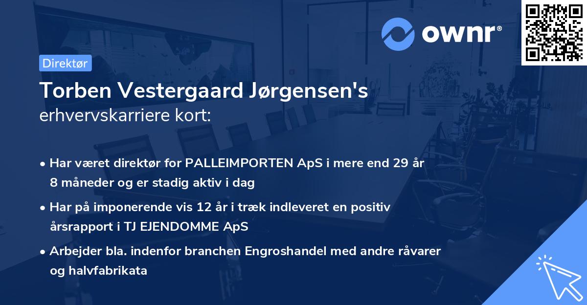 Torben Vestergaard Jørgensen's erhvervskarriere kort