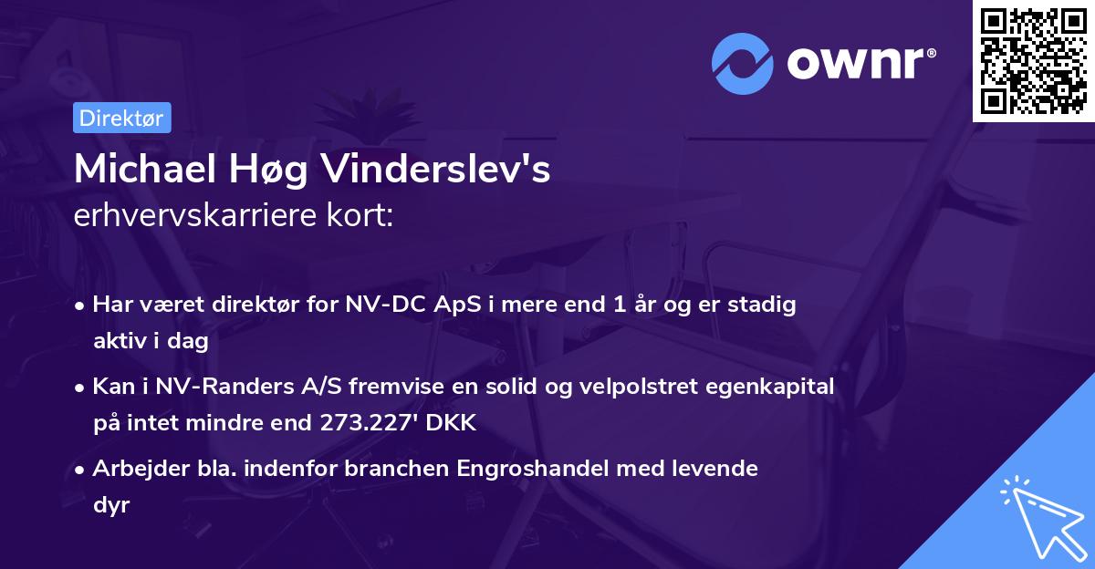 Michael Høg Vinderslev's erhvervskarriere kort