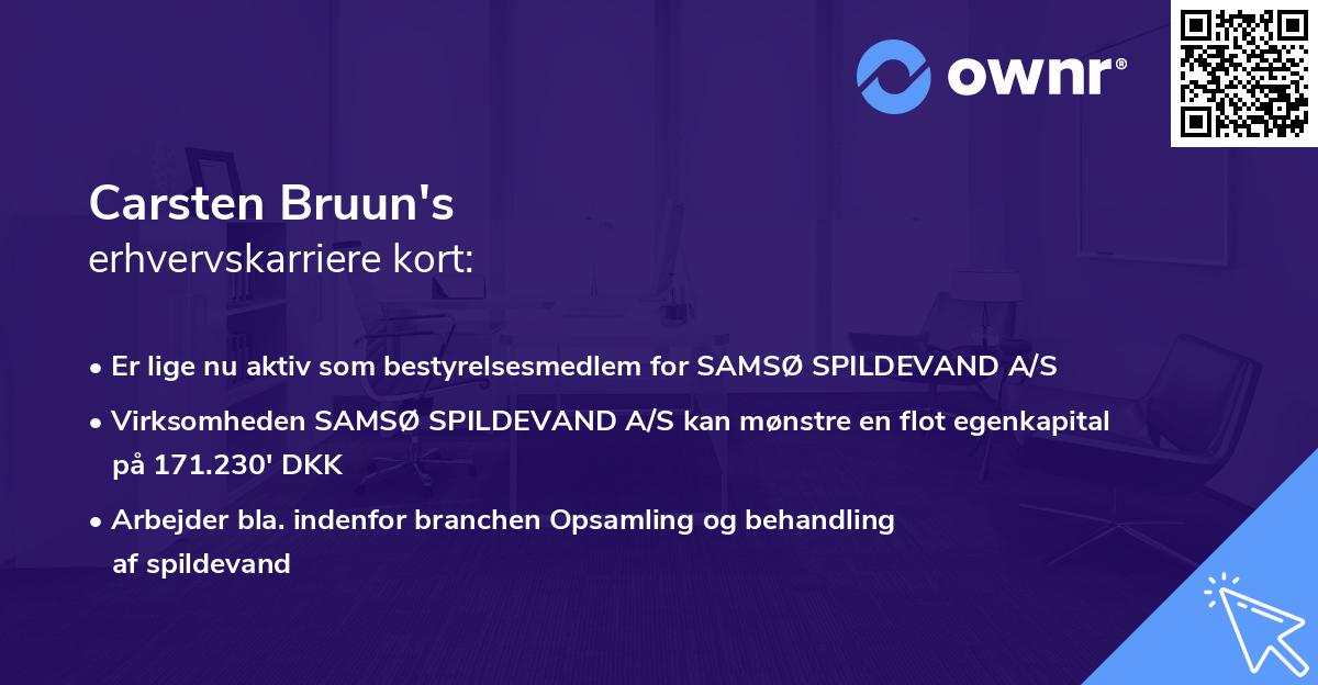 Carsten Bruun's erhvervskarriere kort