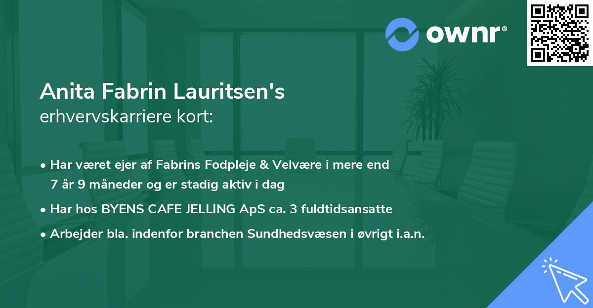 Anita Fabrin Lauritsen's erhvervskarriere kort