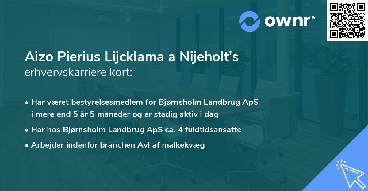 Aizo Pierius Lijcklama a Nijeholt's erhvervskarriere kort