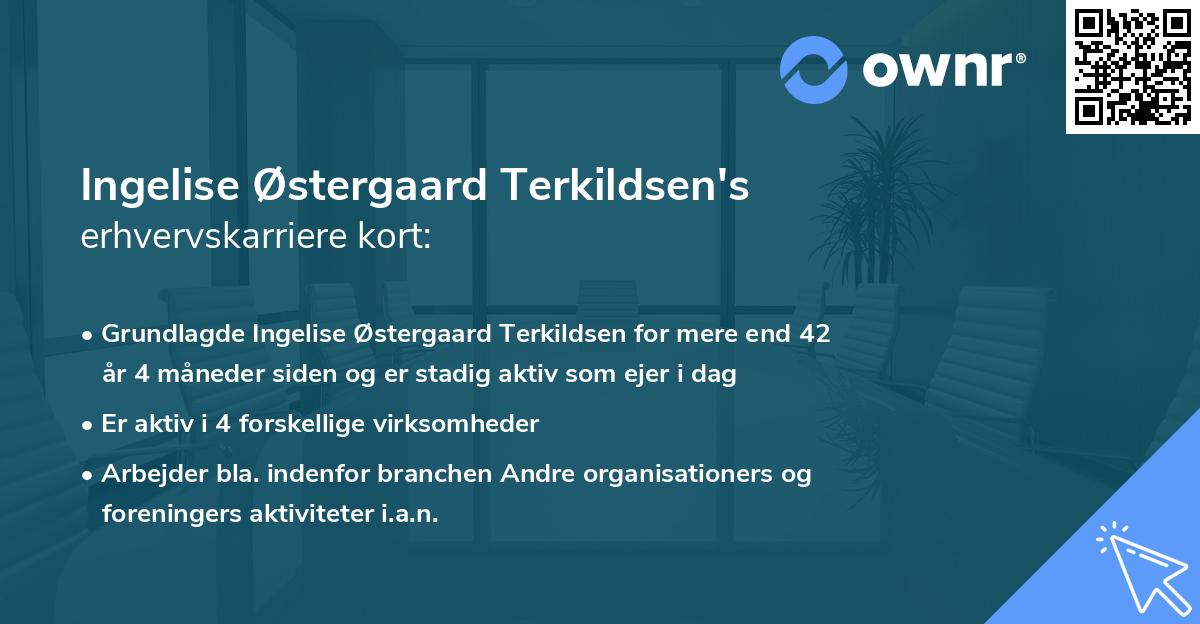Ingelise Østergaard Terkildsen's erhvervskarriere kort