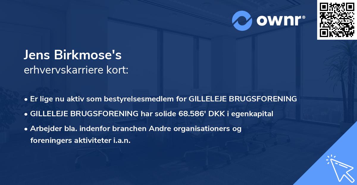 Jens Birkmose's erhvervskarriere kort
