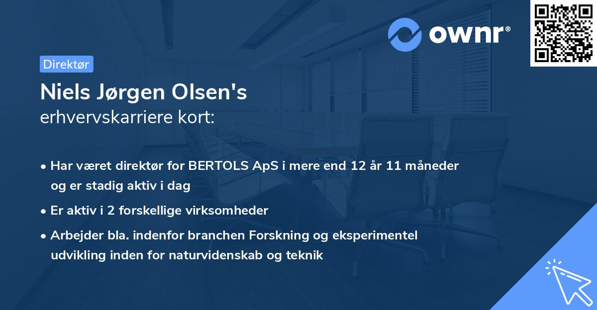 Niels Jørgen Olsen's erhvervskarriere kort