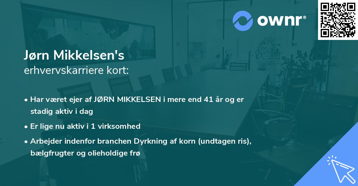 Jørn Mikkelsen's erhvervskarriere kort