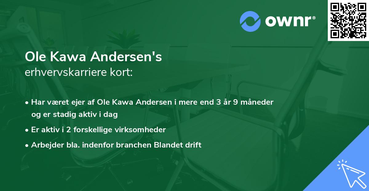 Ole Kawa Andersen's erhvervskarriere kort