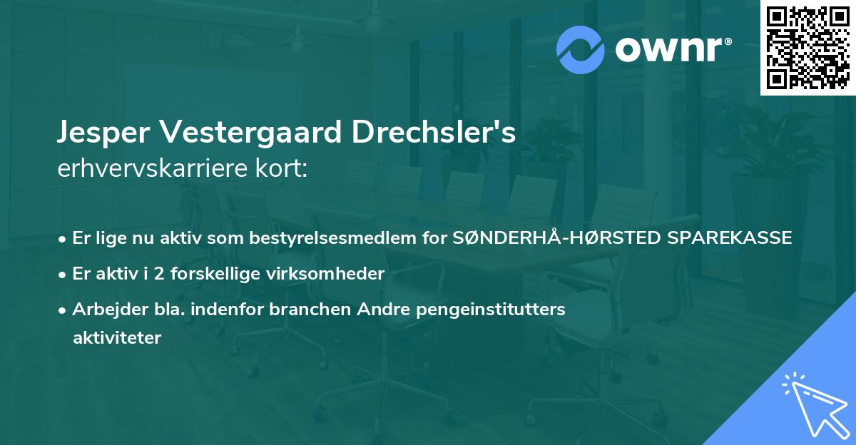 Jesper Vestergaard Drechsler's erhvervskarriere kort