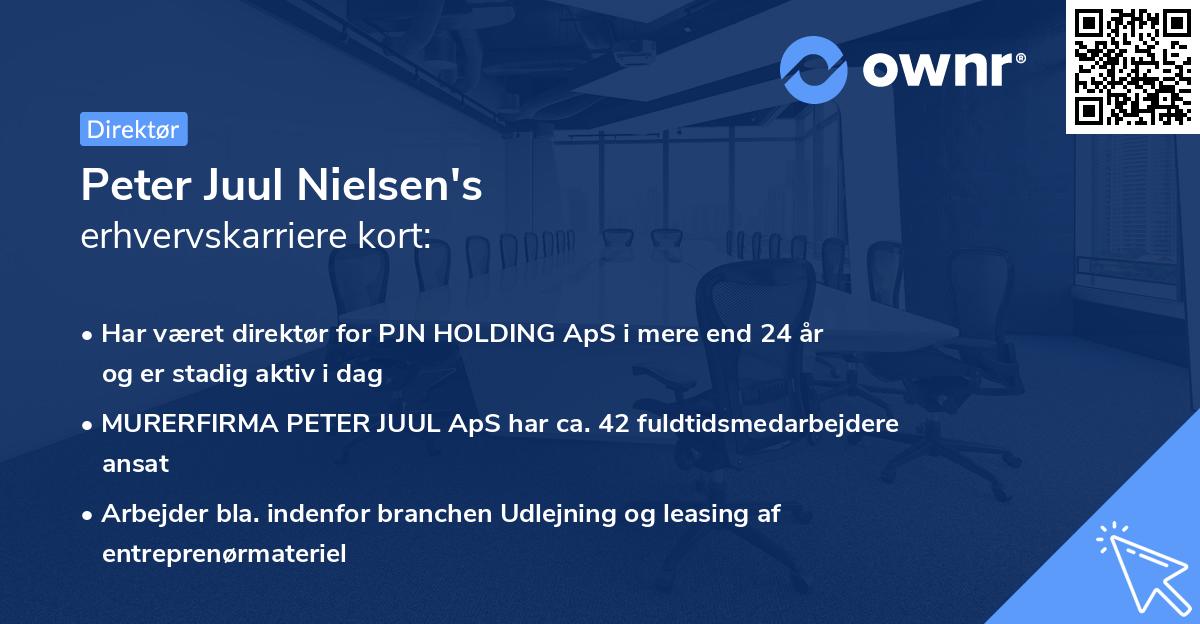 Peter Juul Nielsen's erhvervskarriere kort