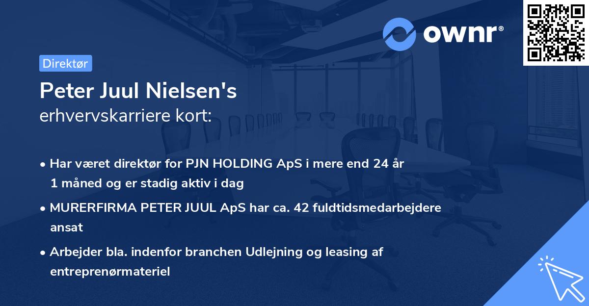 Peter Juul Nielsen's erhvervskarriere kort