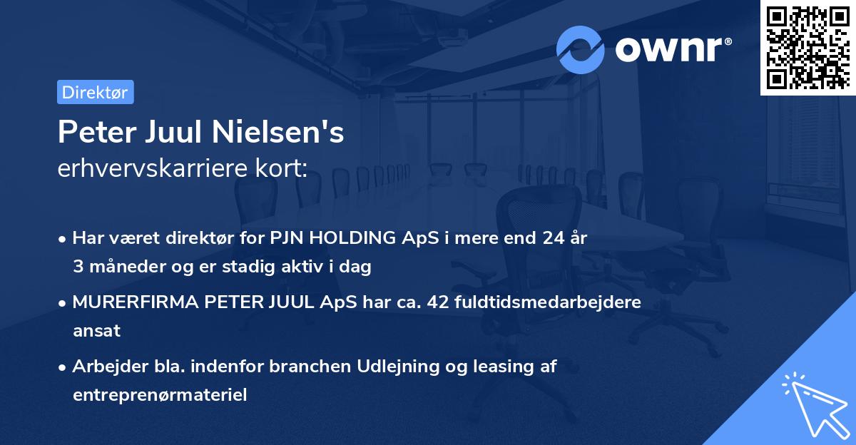 Peter Juul Nielsen's erhvervskarriere kort