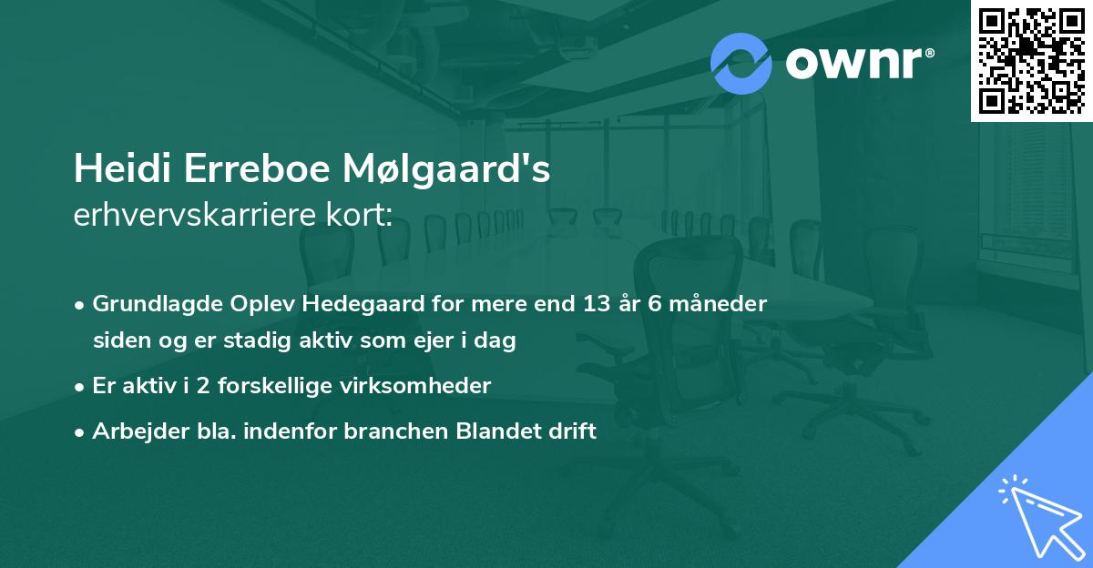 Heidi Erreboe Mølgaard's erhvervskarriere kort