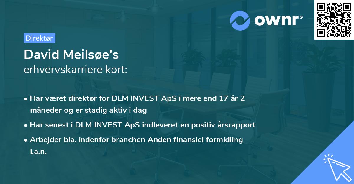 David Meilsøe's erhvervskarriere kort