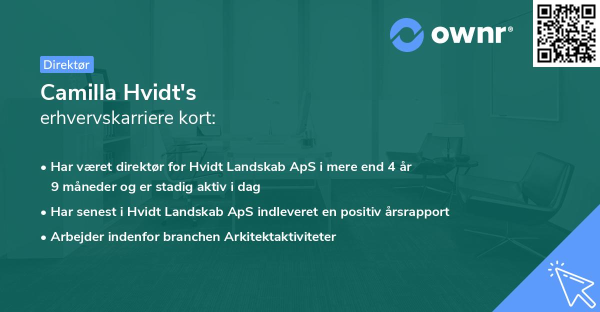 Camilla Hvidt's erhvervskarriere kort