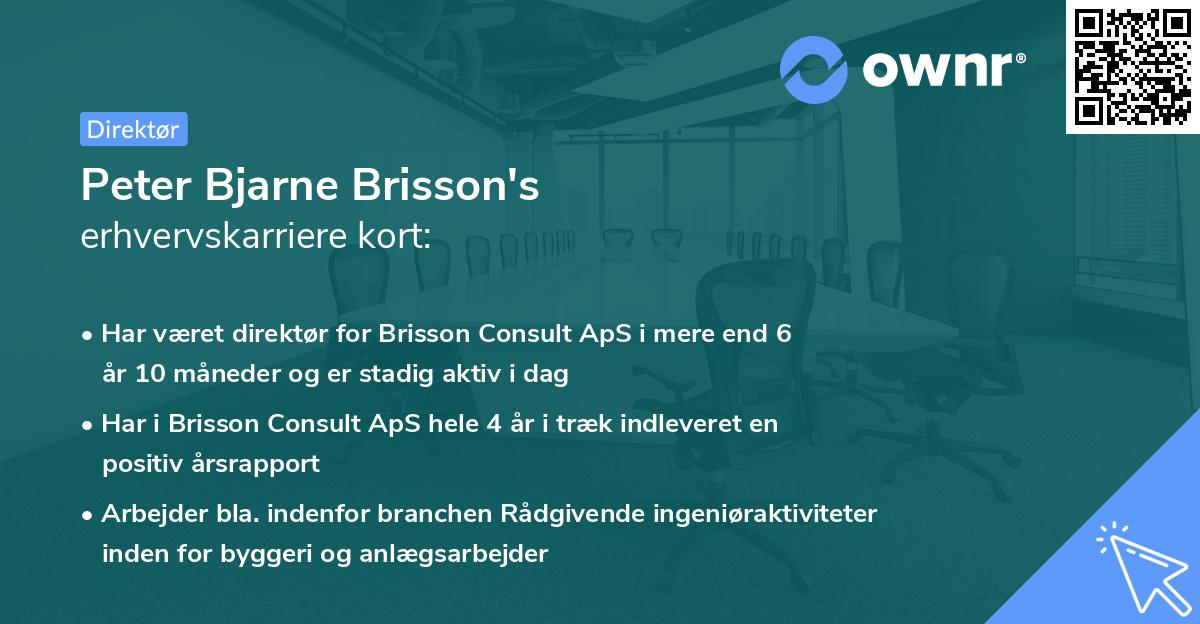 Peter Bjarne Brisson's erhvervskarriere kort