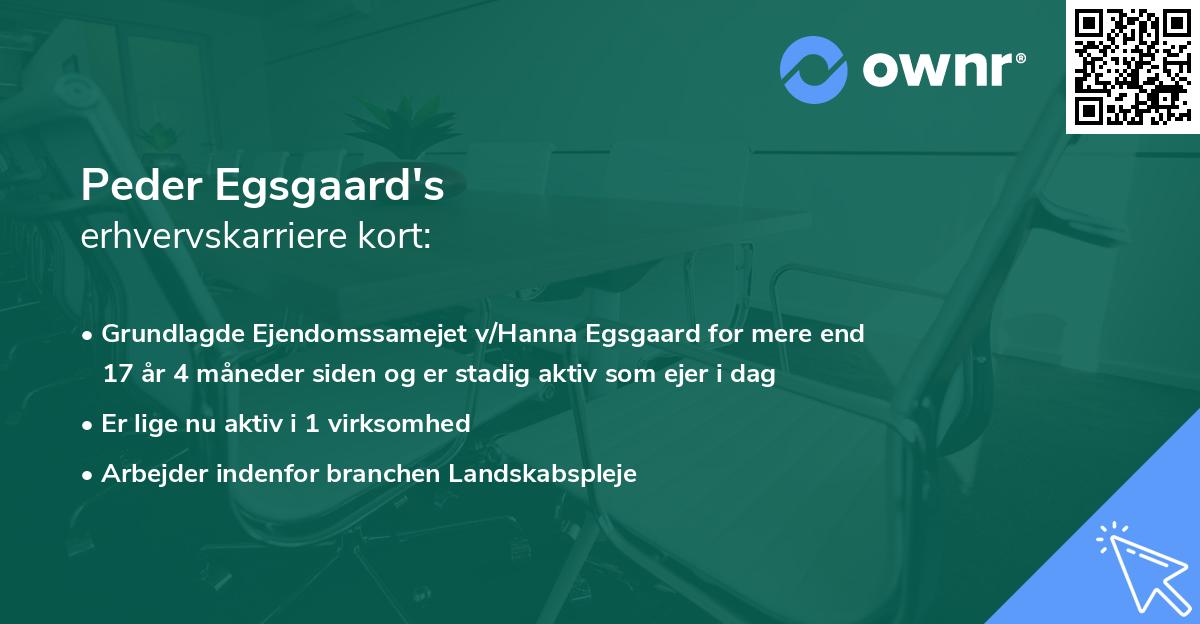 Peder Egsgaard's erhvervskarriere kort