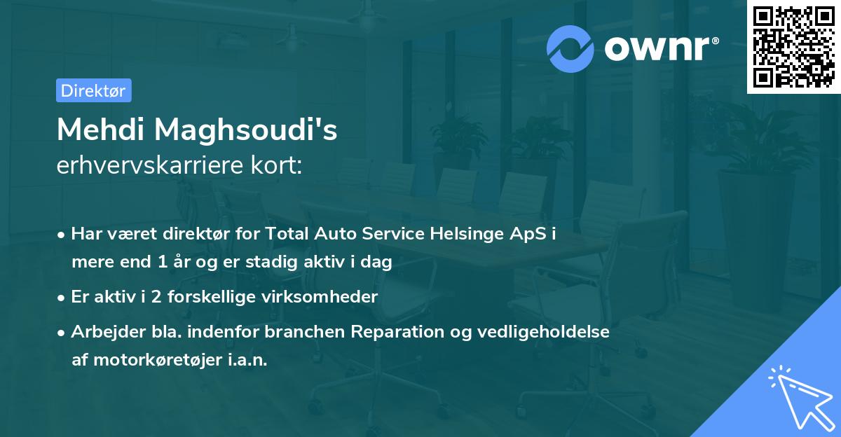 Mehdi Maghsoudi's erhvervskarriere kort