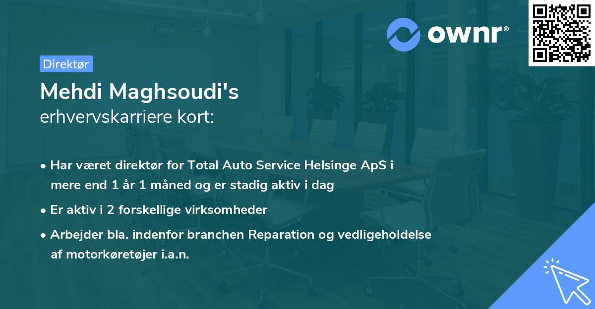 Mehdi Maghsoudi's erhvervskarriere kort