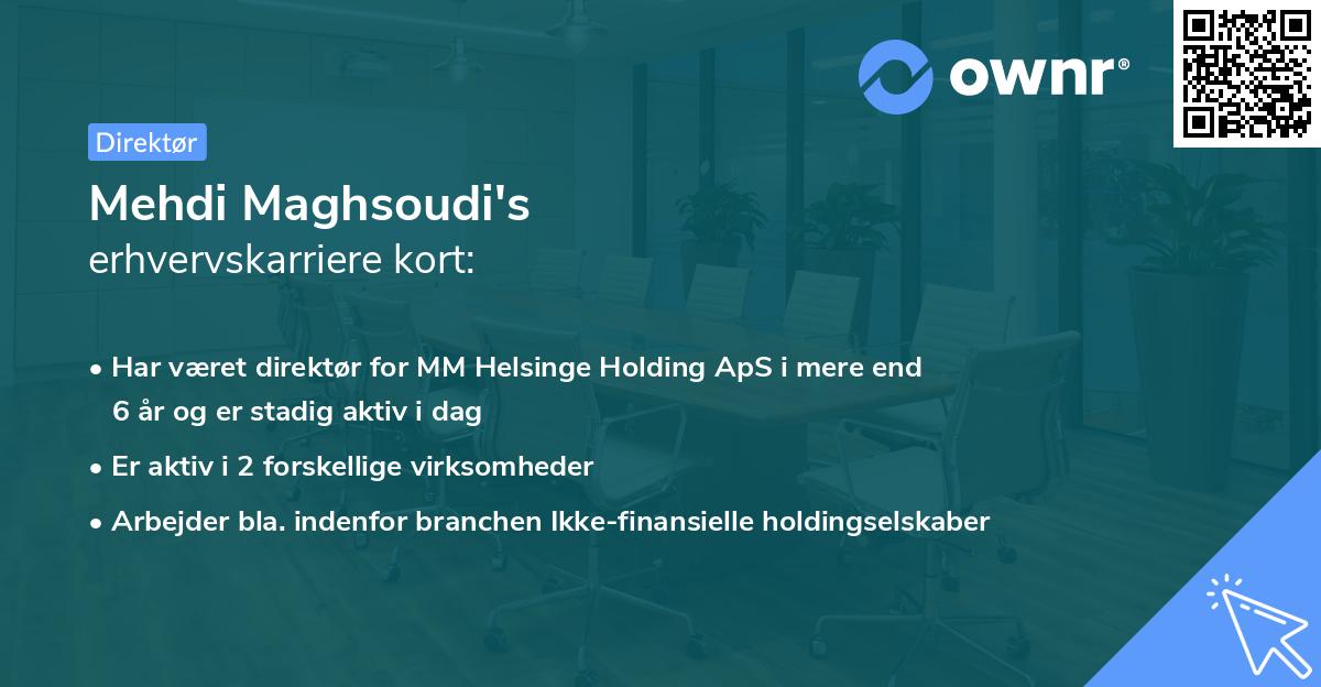 Mehdi Maghsoudi's erhvervskarriere kort