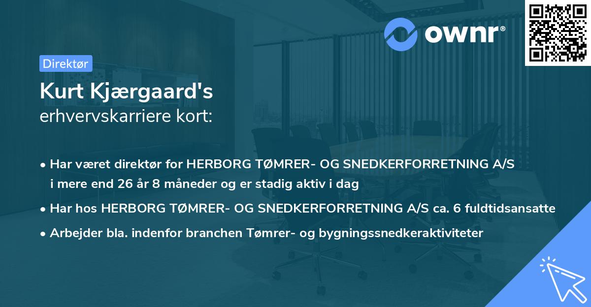 Kurt Kjærgaard's erhvervskarriere kort