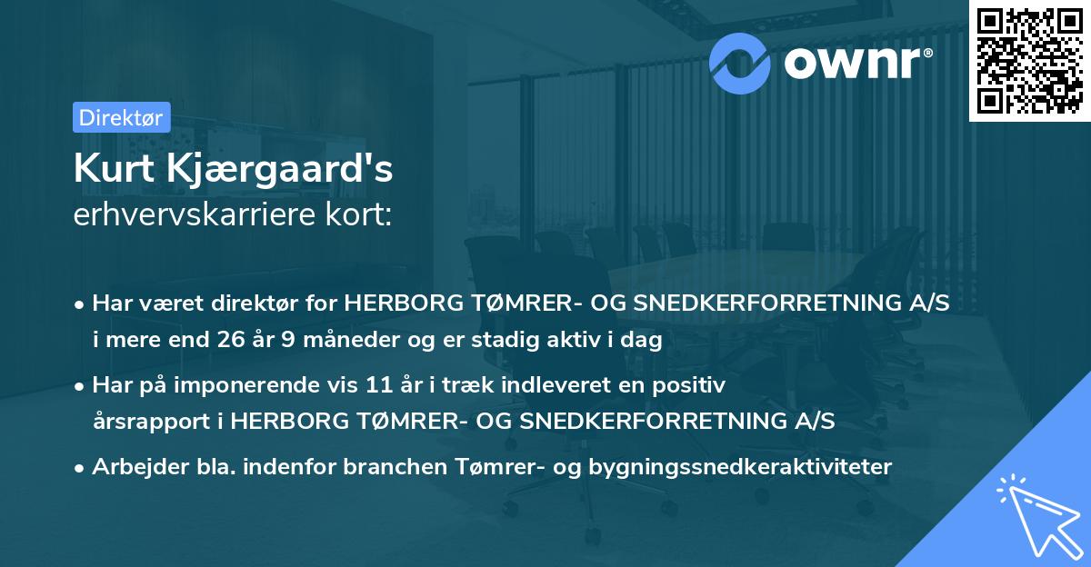 Kurt Kjærgaard's erhvervskarriere kort