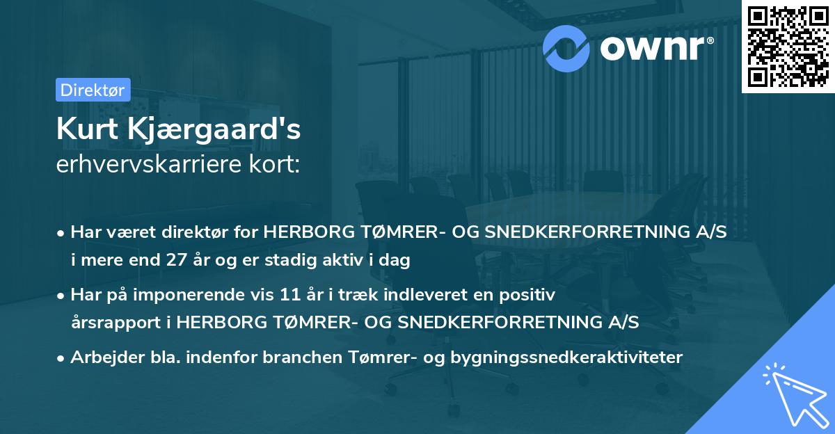 Kurt Kjærgaard's erhvervskarriere kort