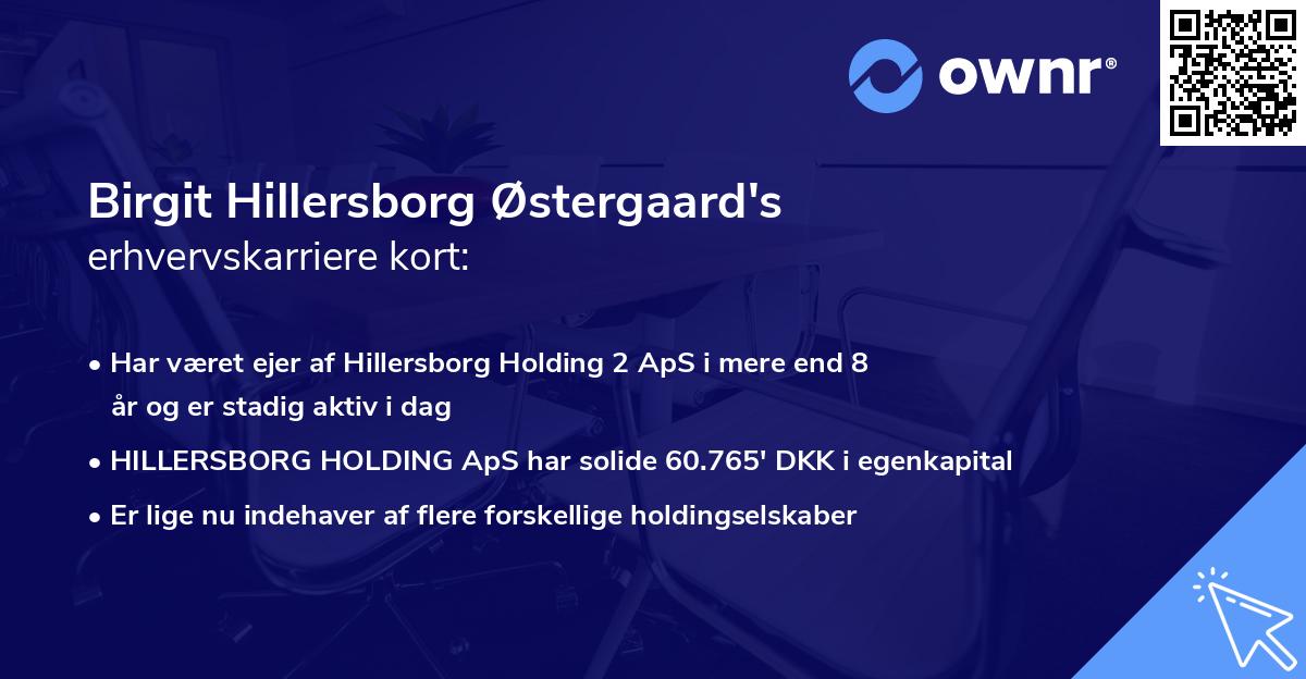 Birgit Hillersborg Østergaard's erhvervskarriere kort