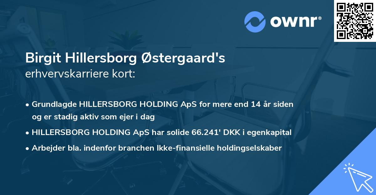 Birgit Hillersborg Østergaard's erhvervskarriere kort