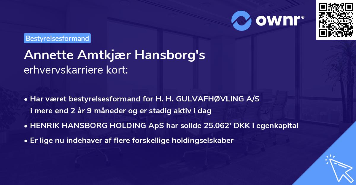 Annette Amtkjær Hansborg's erhvervskarriere kort