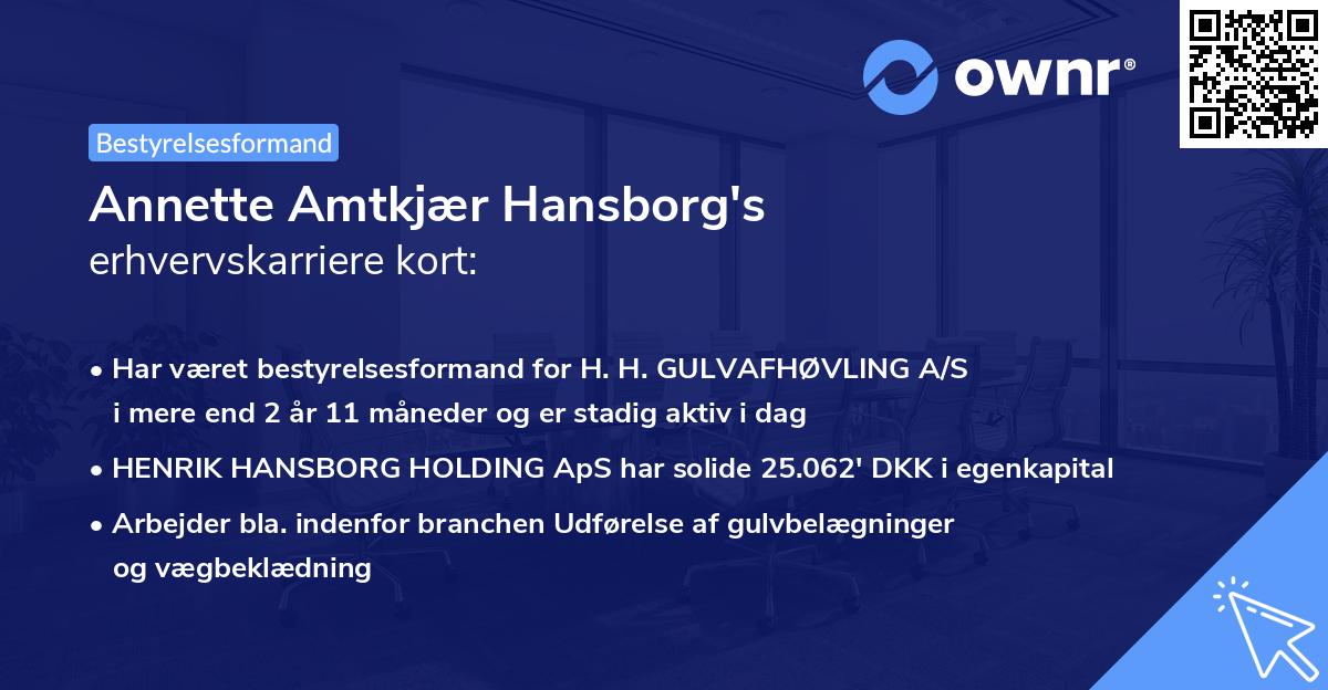 Annette Amtkjær Hansborg's erhvervskarriere kort