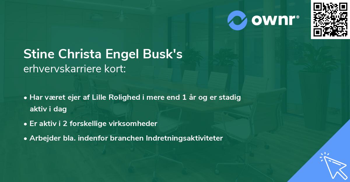 Stine Christa Engel Busk's erhvervskarriere kort