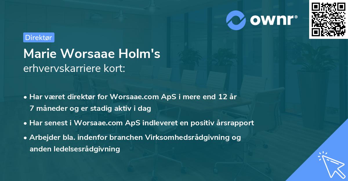 Marie Worsaae Holm's erhvervskarriere kort