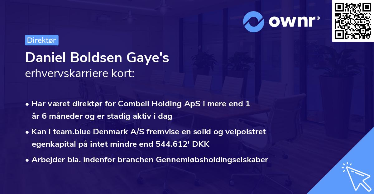 Daniel Boldsen Gaye's erhvervskarriere kort
