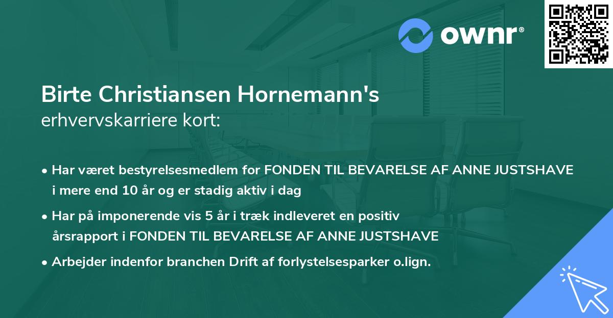 Birte Christiansen Hornemann's erhvervskarriere kort