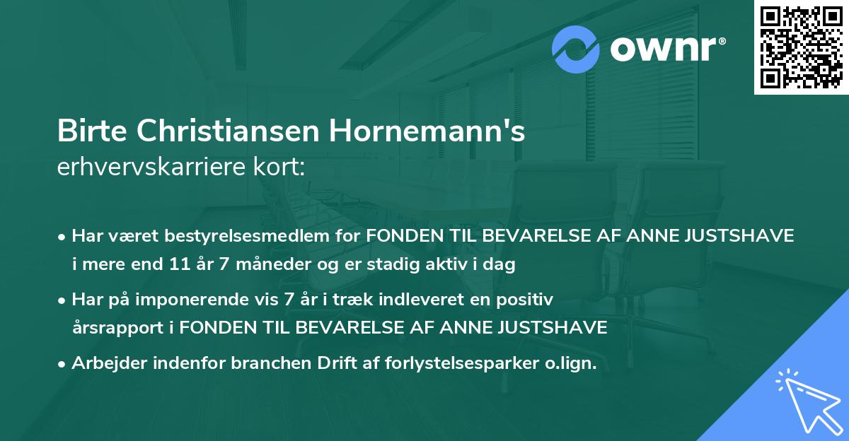 Birte Christiansen Hornemann's erhvervskarriere kort