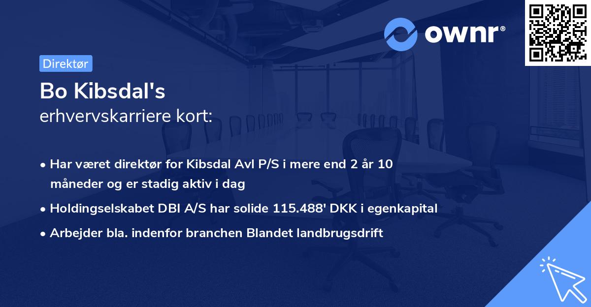 Bo Kibsdal's erhvervskarriere kort