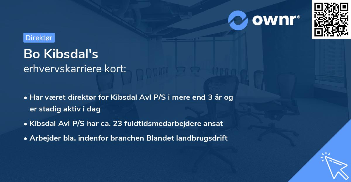 Bo Kibsdal's erhvervskarriere kort