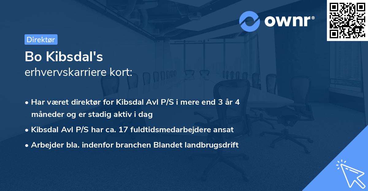 Bo Kibsdal's erhvervskarriere kort